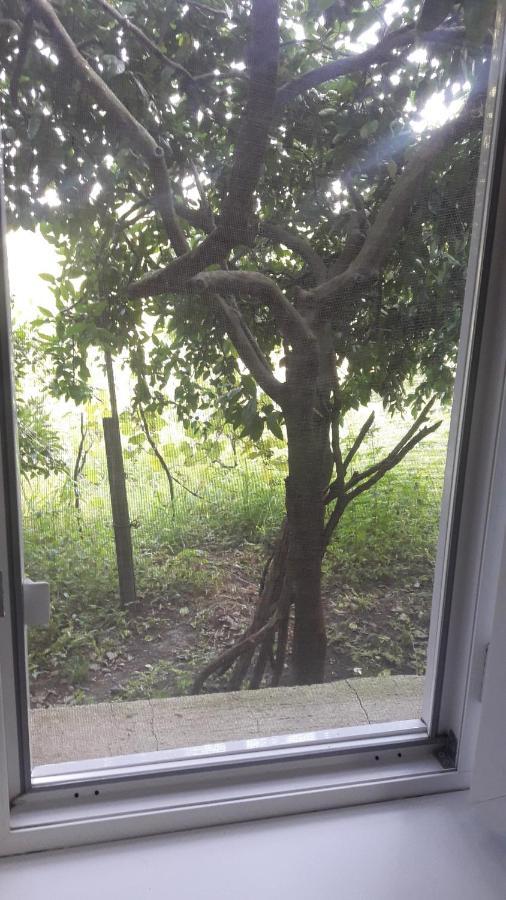 Ni- Ke Hotel Tskaltubo ภายนอก รูปภาพ